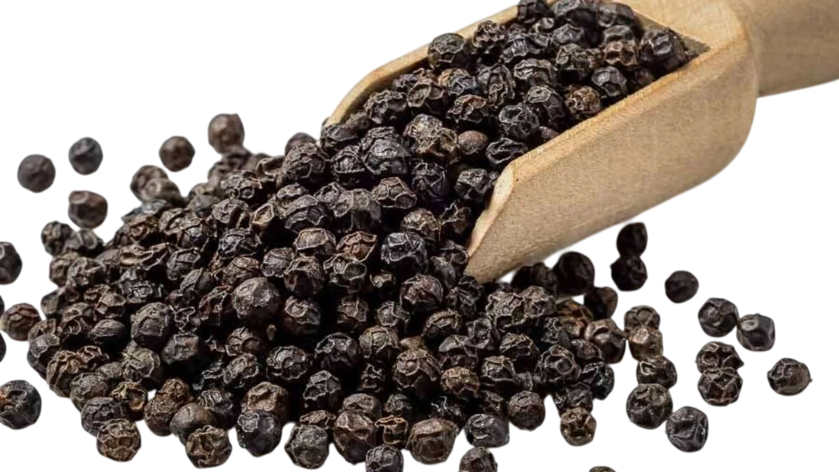 Black Pepper Export