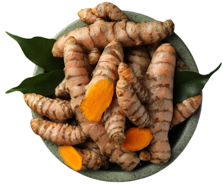 Cardamom & Turmeric Export