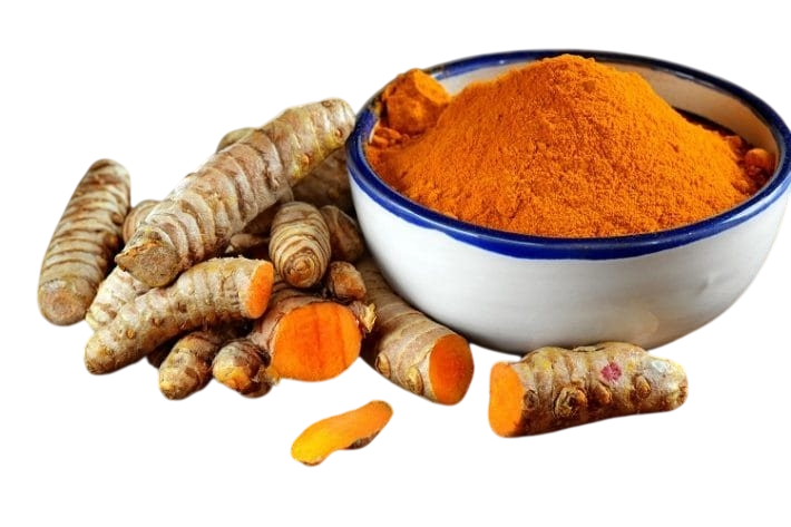Turmeric Finger Export